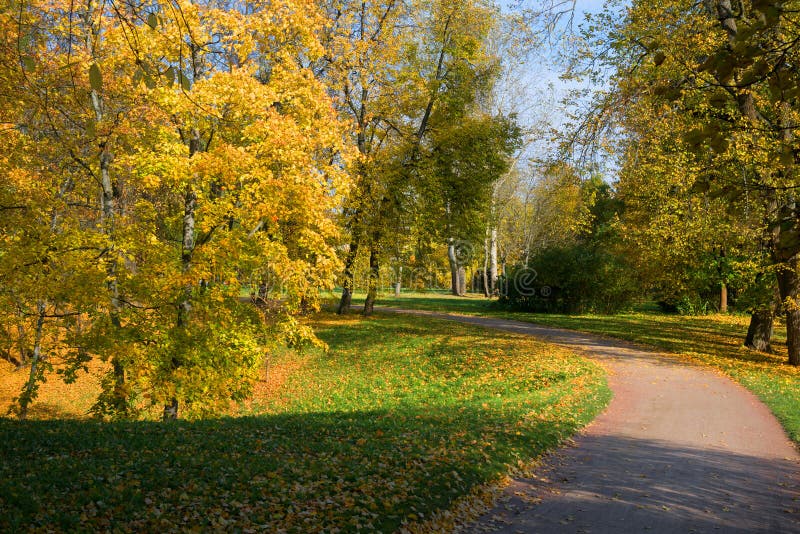 Sun Shining through the Trees on a Path in Golden Stock Photo - Image ...