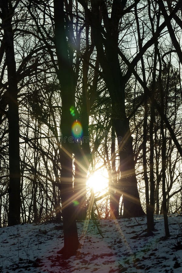 Sun sunrise winter