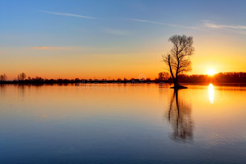 Sun and tree in lake