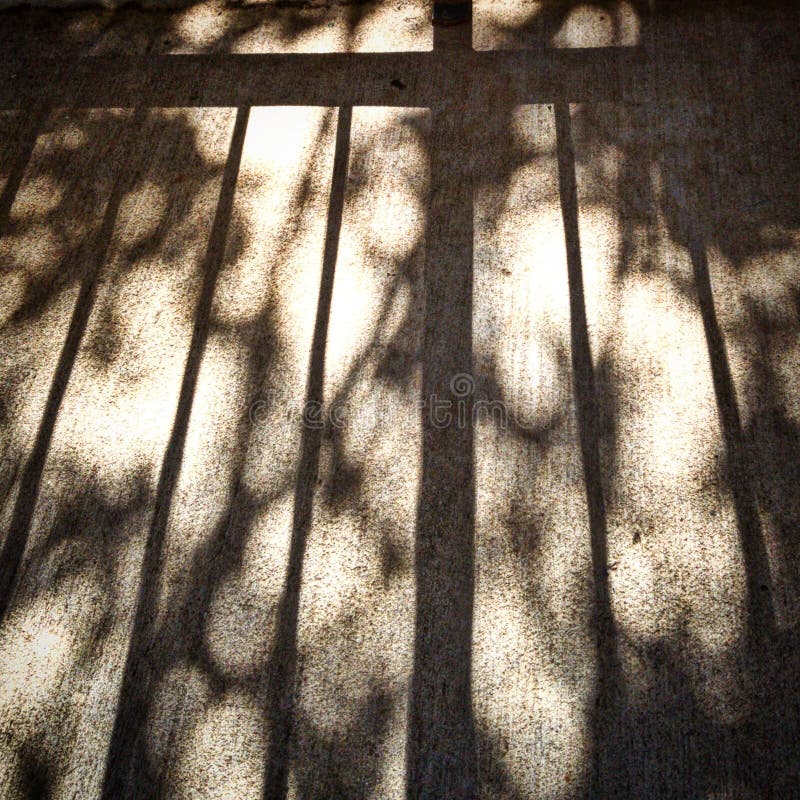 A picture of the sun casting long shadows of a railing and tree limbs on a concrete patio. A picture of the sun casting long shadows of a railing and tree limbs on a concrete patio.