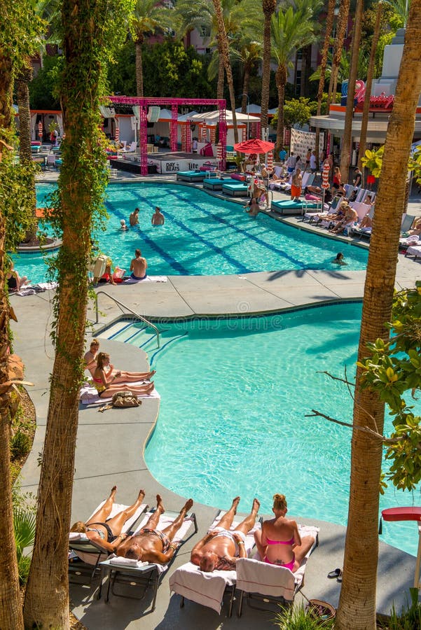 flamingo pool daybed flamingo pool daybed
