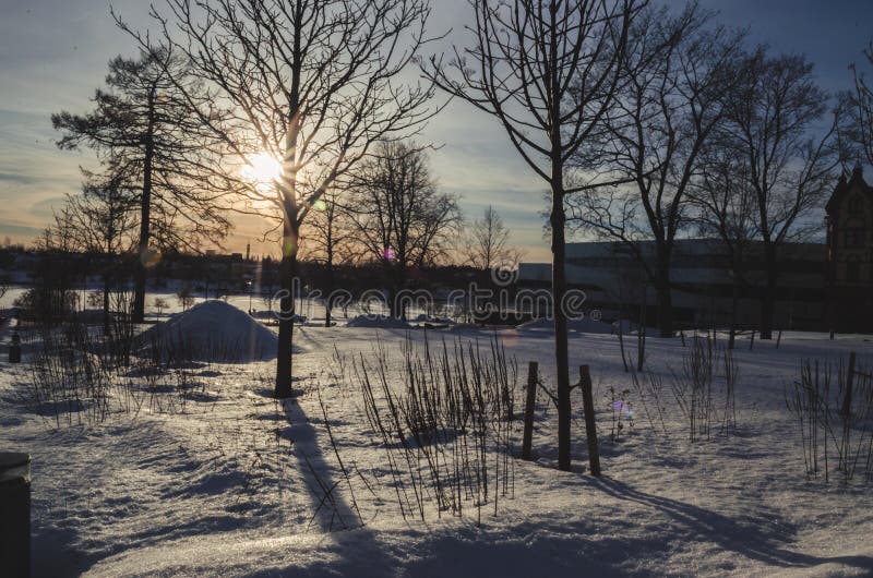 Sunbeam throgh tree and shadow on the snow with a nice snowscape royalty free stock images Sunbeam throgh tree and shadow on the snow with a nice snowscape royalty free stock images