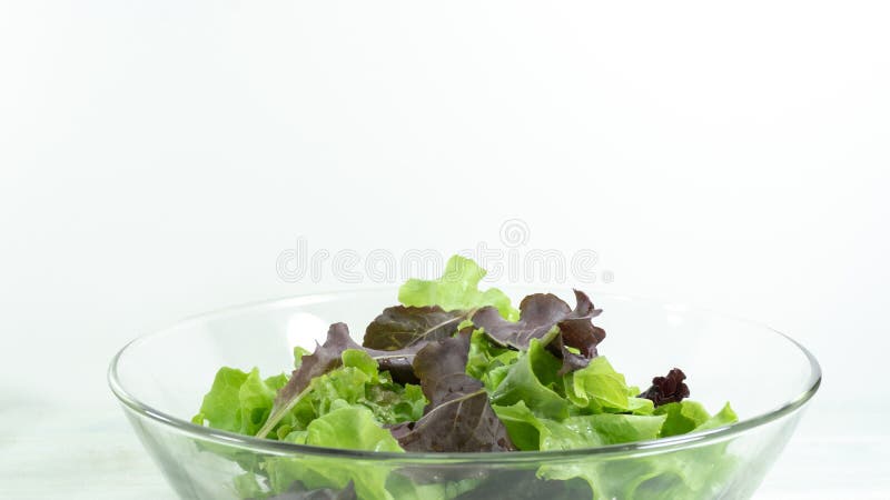 Sund hemlagad strikt vegetarianmat, vegetarian bantar, vitaminmellanmålet, mat och hälsobegreppet arkivfoto