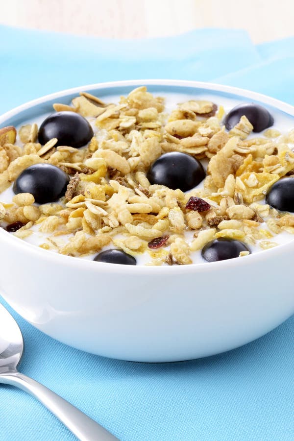 sund läcker granola royaltyfri foto sund läcker granola royaltyfri foto