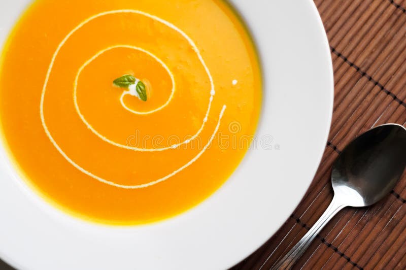 Sund soppa för butternutsquash royaltyfri fotografi Sund soppa för butternutsquash royaltyfri fotografi