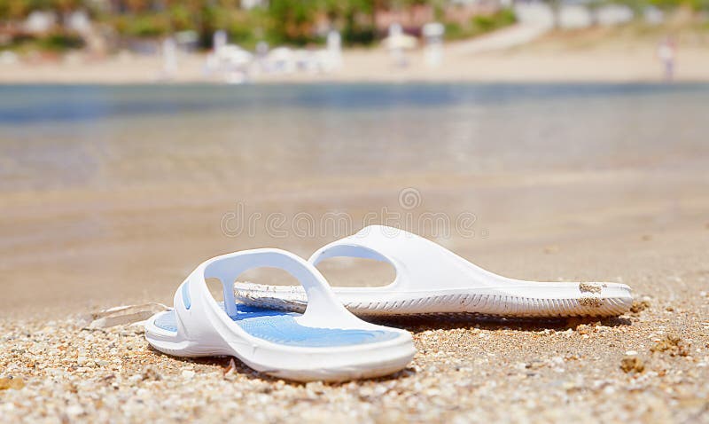 Shale, flip flops, rubber slippers royalty free stock photos