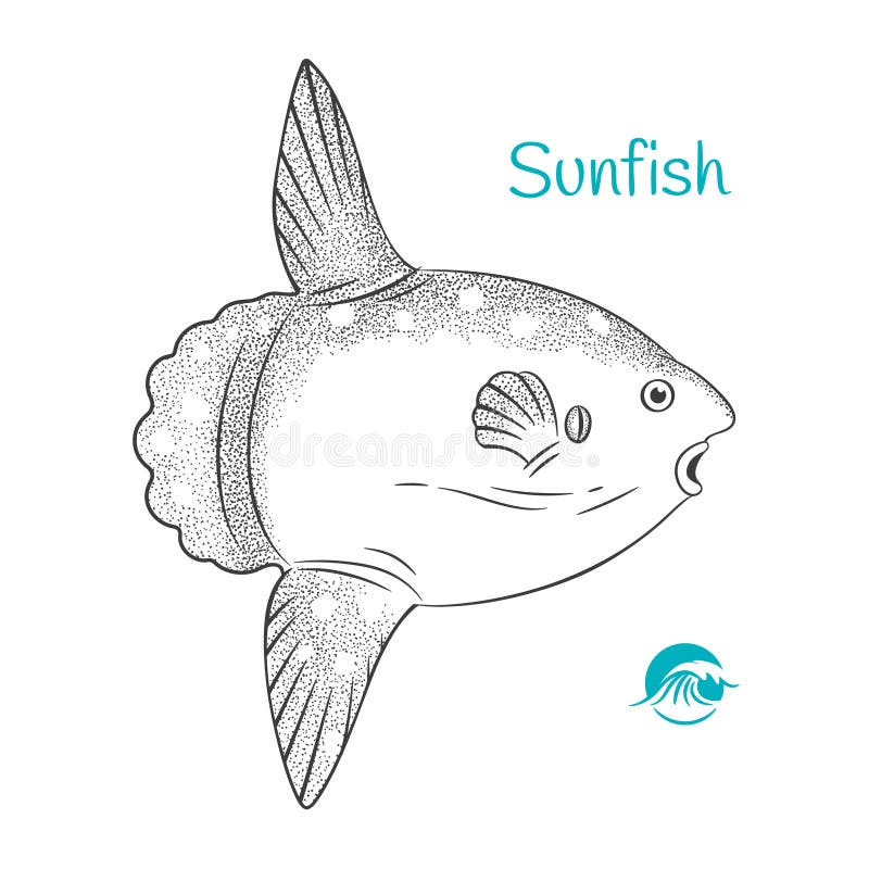 Cartoon Sunfish Stock Illustrations – 151 Cartoon Sunfish Stock  Illustrations, Vectors & Clipart - Dreamstime