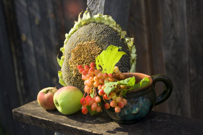 Sunflower, apples and viburnum