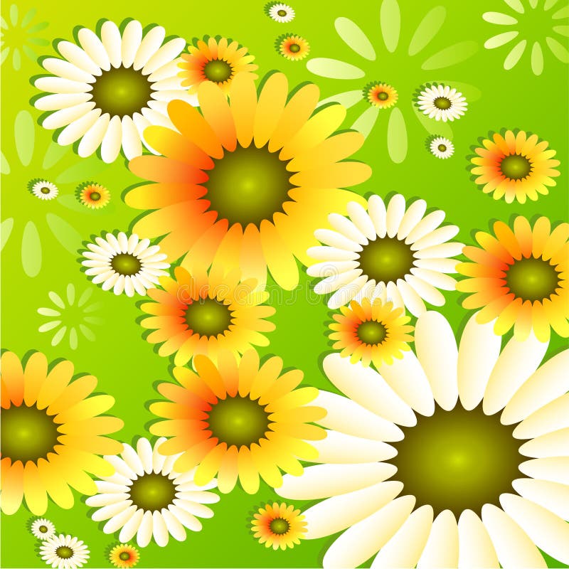 Sunflower Background