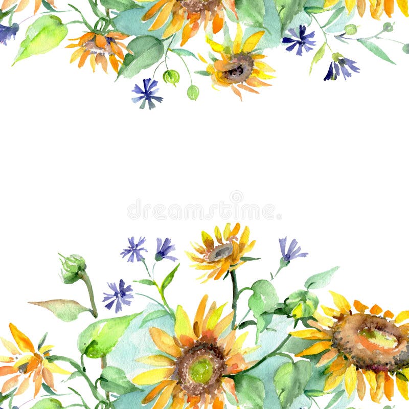 Sunflower bouquet floral botanical flowers. Watercolor background illustration set. Frame border ornament square.