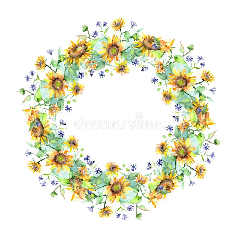 Sunflower bouquet floral botanical flowers. Watercolor background illustration set. Frame border ornament square.