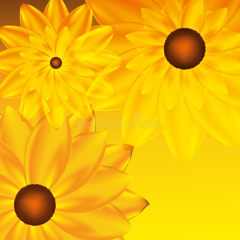 Sunflower card