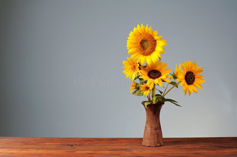 Sunflower in a ceramic vase