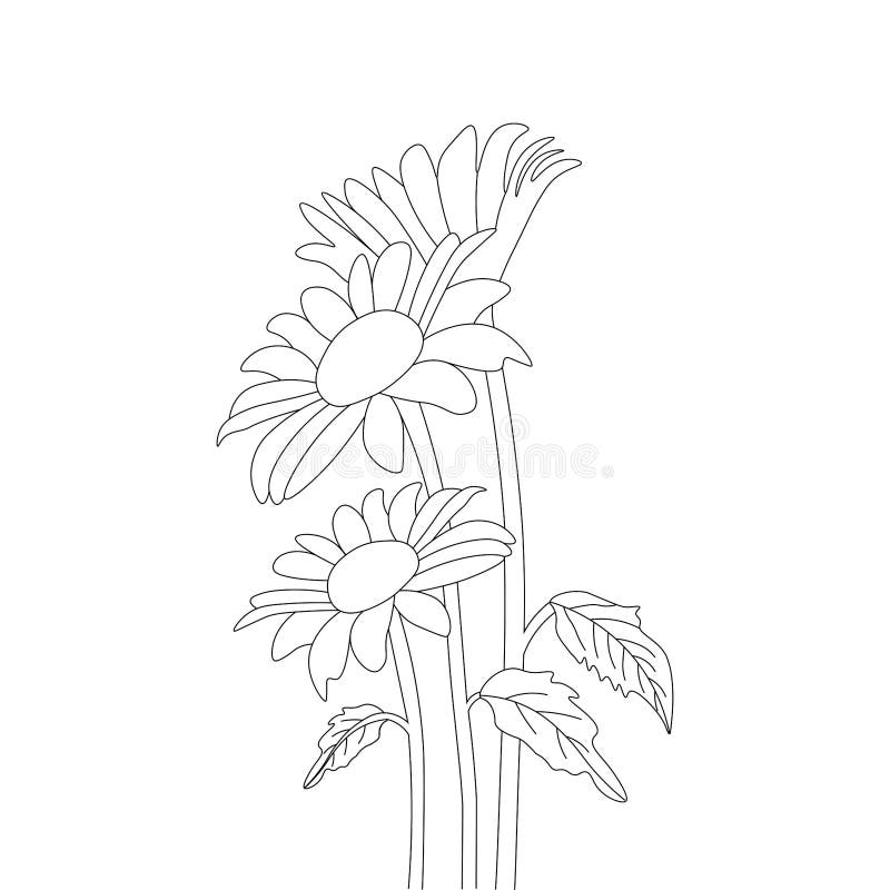 kids sunflower coloring page pencil drawing of vector design with pencil  sketch 10792092 Vector Art at Vecteezy