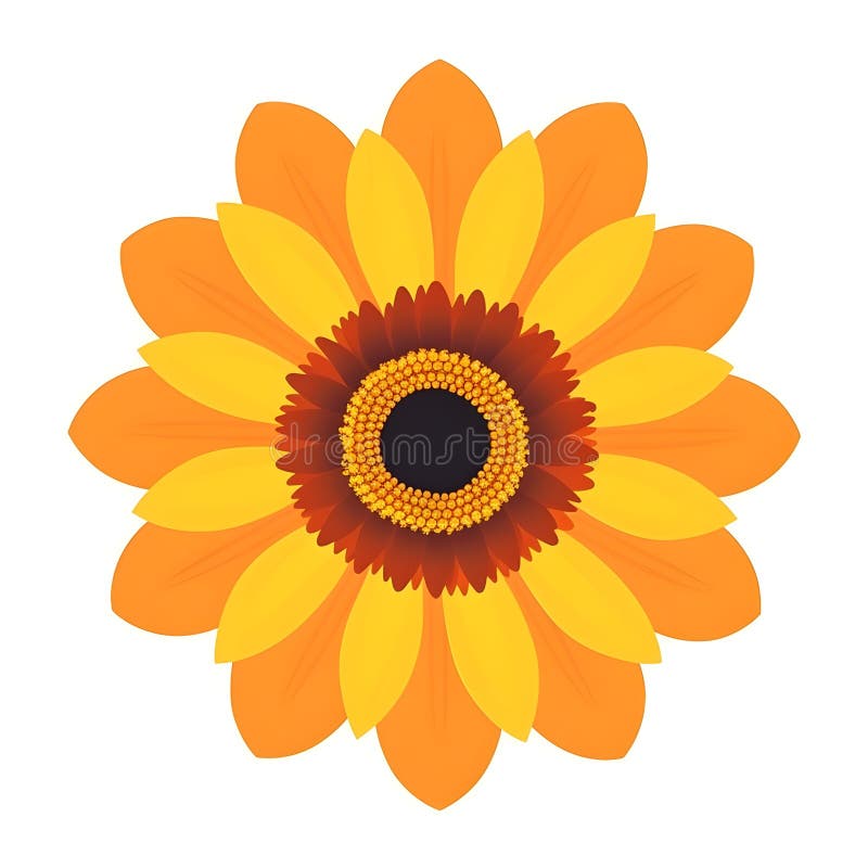 Sunflower Drawing with a Black Outline on a White Background Stock