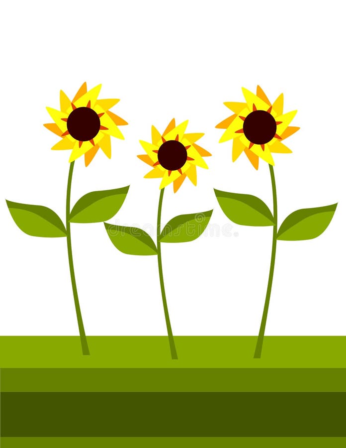 Sunflowers Growing in the Garden Illustration Stock Vector