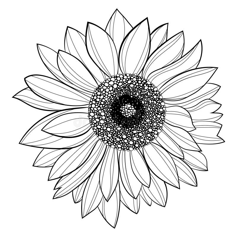 Black and White Sunflower Tattoo PNG Sunflower Tattoo Tattoo Flash Digital  Download,sunflower Tattoo Ideas Tattoo Stencils - Etsy