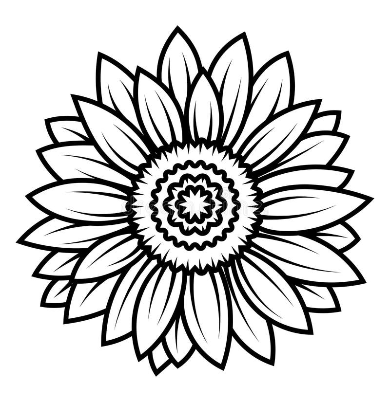 Sunflower Flower. Black and White Illustration of a Sunflower. Linear ...