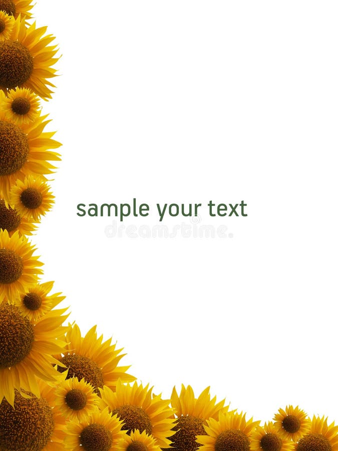 Sunflower frame stock photo. Image of season, background 15091434