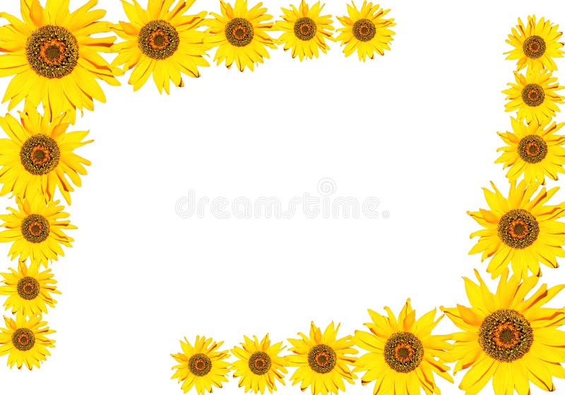 Sunflower frame stock photo. Image of textured, design 16081210