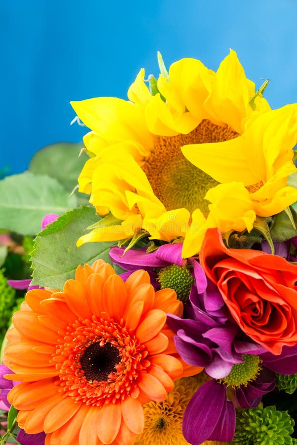 Sunflower and Gerbera florist flowers, close up detail. royalty free stock photo Sunflower and Gerbera florist flowers, close up detail. royalty free stock photo