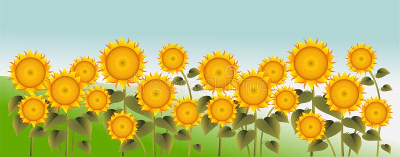 Field Sunflower Tree View Stock Illustrations – 49 Field Sunflower Tree  View Stock Illustrations, Vectors & Clipart - Dreamstime