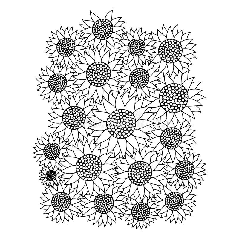 kids sunflower coloring page pencil drawing of vector design with pencil  sketch 10792092 Vector Art at Vecteezy