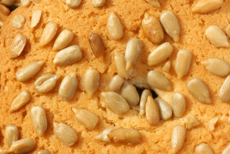 Sunflower kernel cake stock photo. Image of foodstuff 12377046