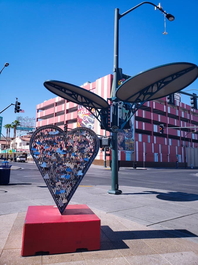 Sunflower editorial photo. Image of structure, sunflower 127764541