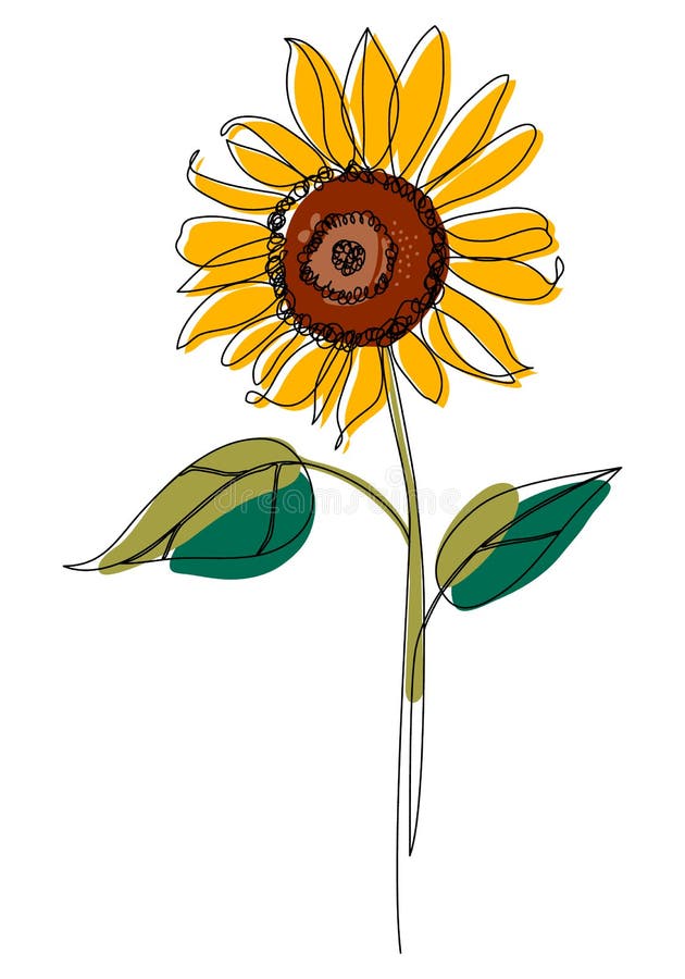 Premium Vector  Sunflower drawings illustration