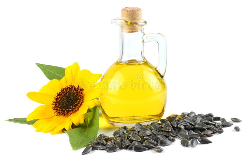 Sunflower oil in glass jug, seeds and flower isolated on white background