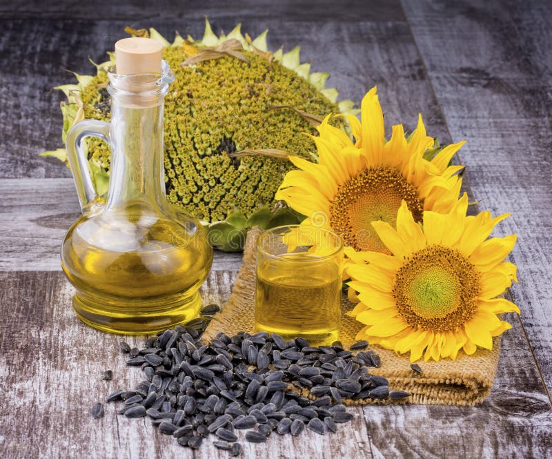 Sunflower, Sunflower Oil and Sunflower Seeds Stock Photo Image of