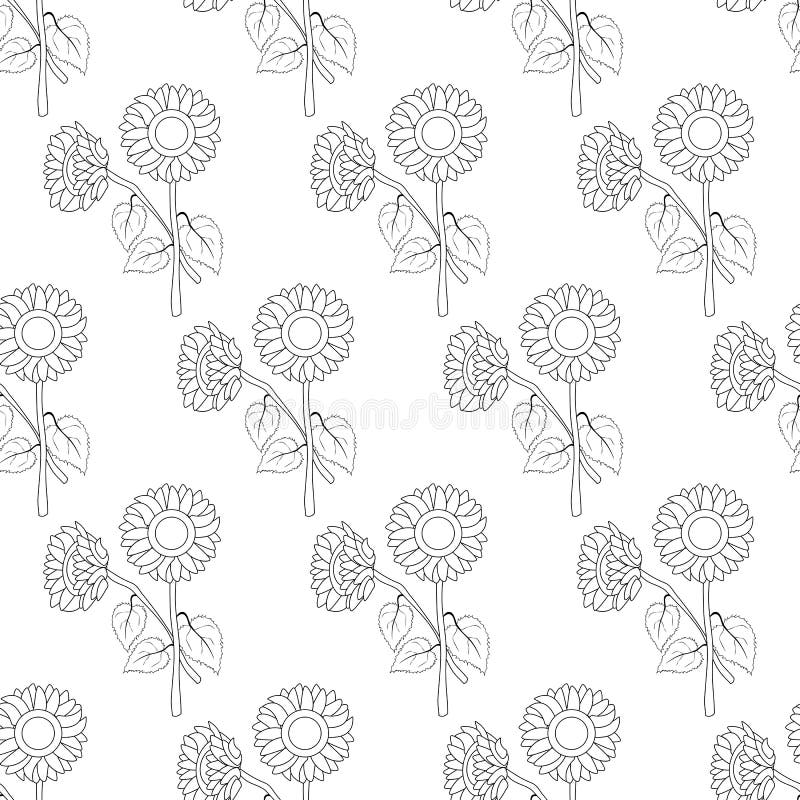 Download Sunflower Outline Seamless Background. Vector Illustration ...