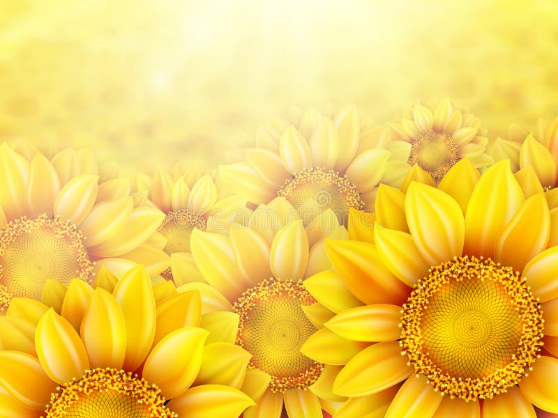 Download Sunflower Petals With Summer Sun. EPS 10 Stock Vector ...