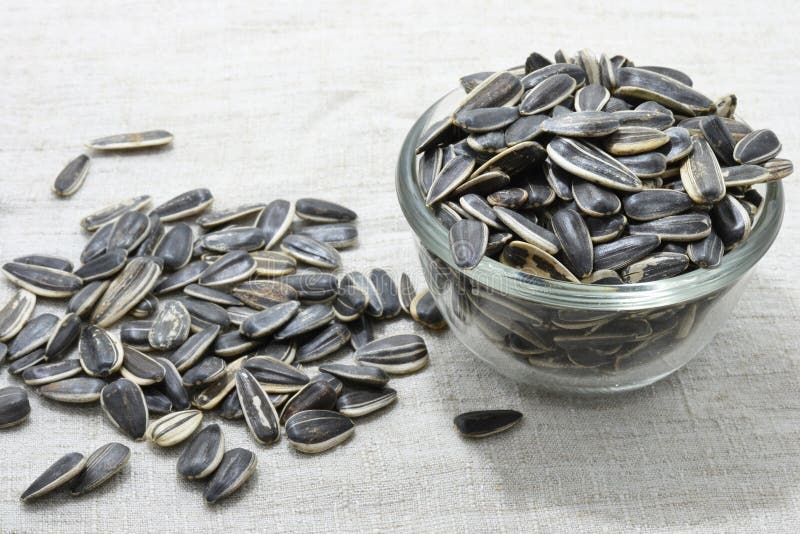 Sunflower seed stock photo. Image of nature, plant, healthy 62441248