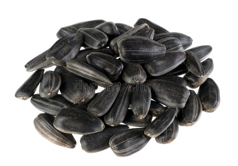 Sunflower seed detail