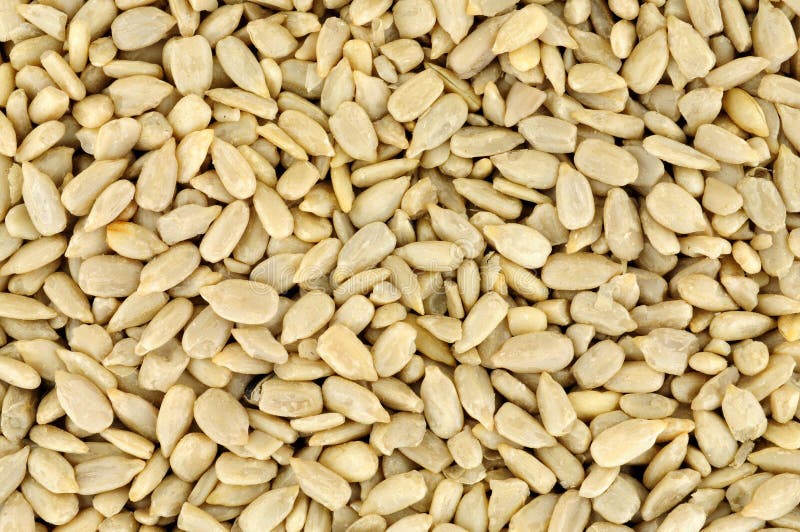 Sunflower Seed Heart Background Stock Photo Image of food, healthy