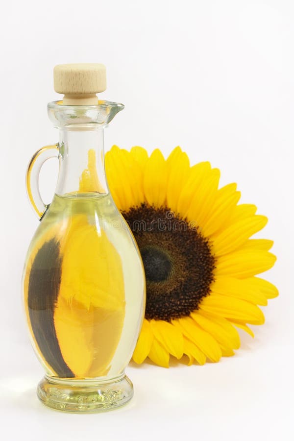 Sunflower Seed Germination Different Stages Stock Image Image of