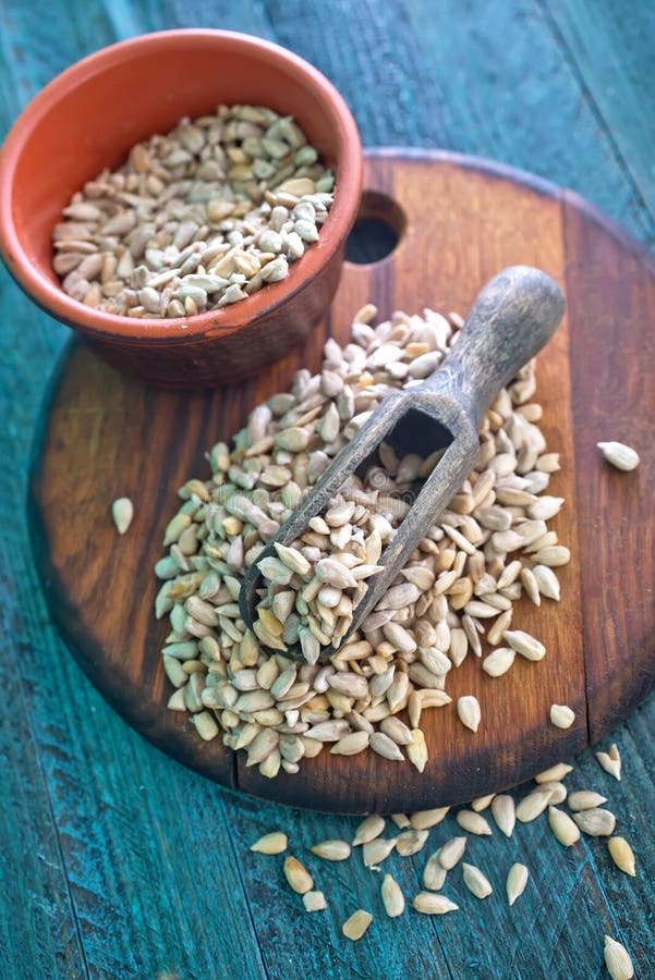 Sunflower Seed Germination Different Stages Stock Image Image of