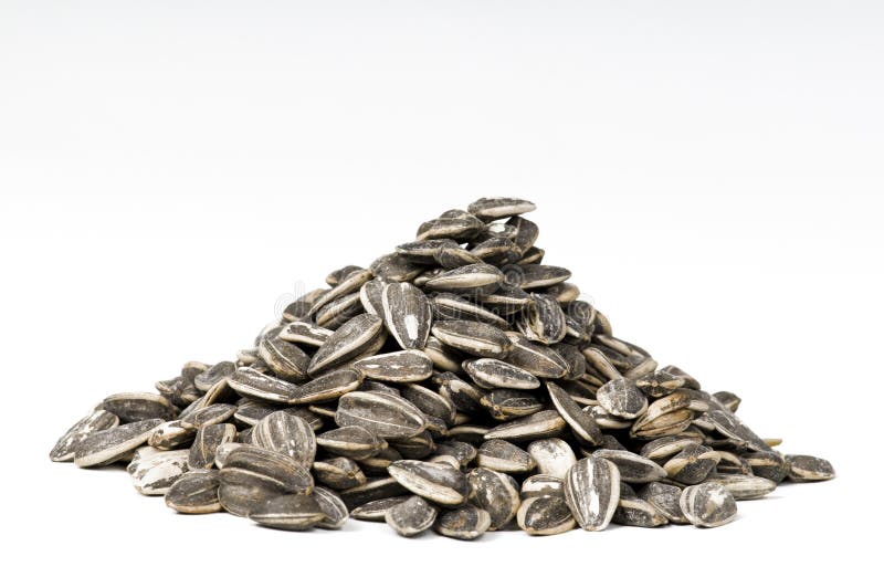 Sunflower Seeds stock photo Sunflower Seeds stock photo