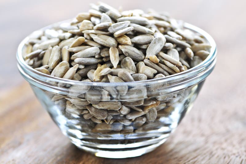 Sunflower Seeds stock image. Image of food, gould, shelled 42827063
