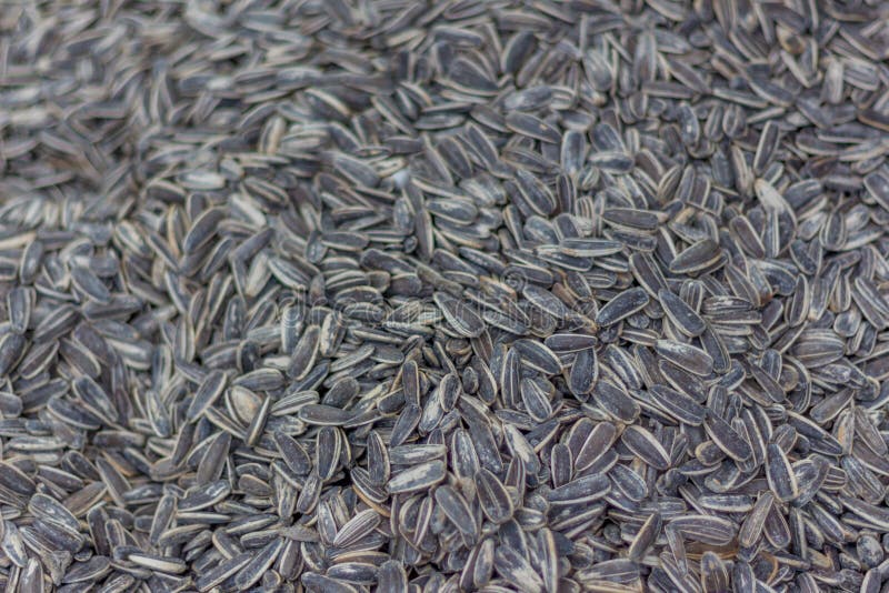 Sunflower seeds