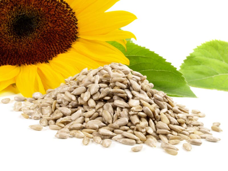 Sunflower Seeds with Sunflower Blossom and Sunflower Oil on White ...