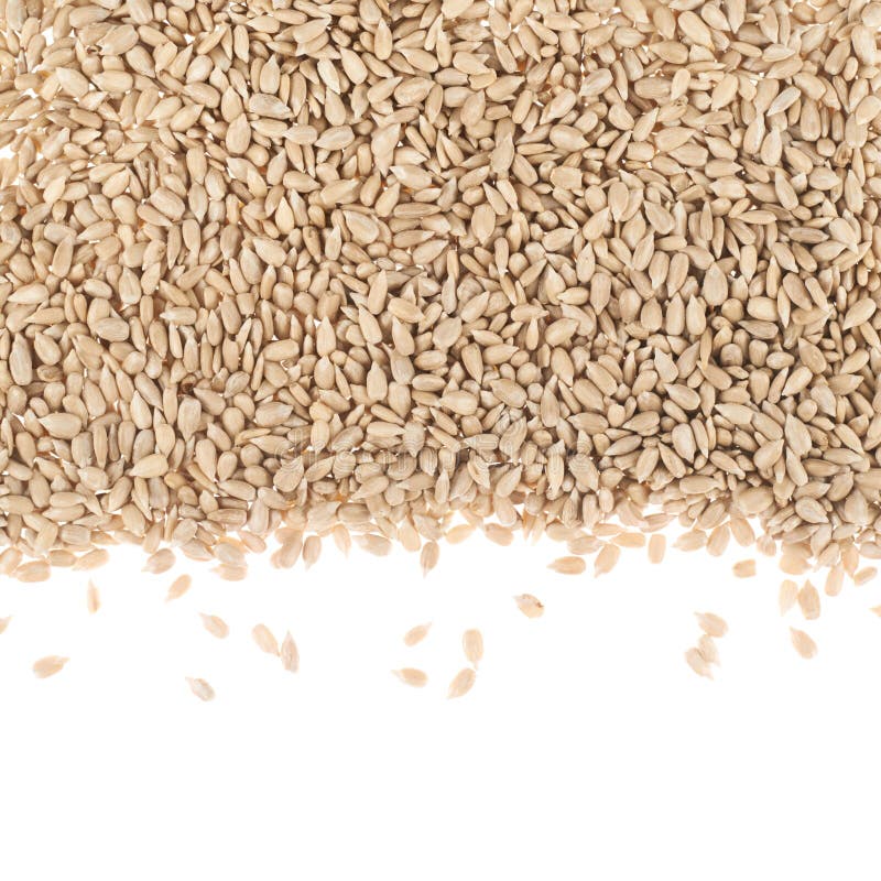 Sunflower Seeds Composition Stock Photo Image of nutrition, frame