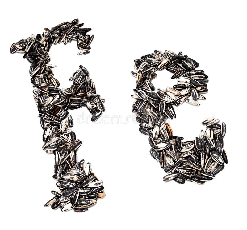 Sunflower seeds stock image. Image of organic, shell 26977223