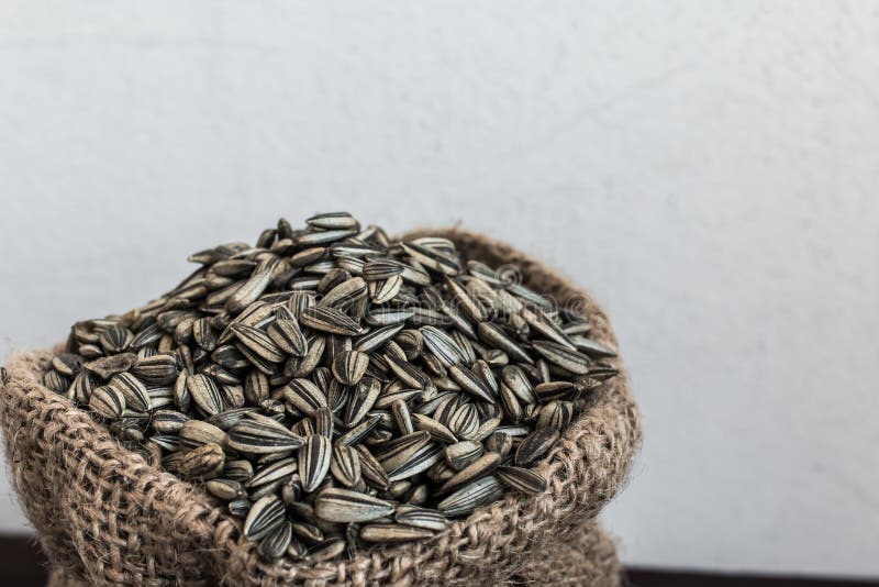 Sunflower Seeds in Gunny Bag Stock Photo Image of sunflower, healthy