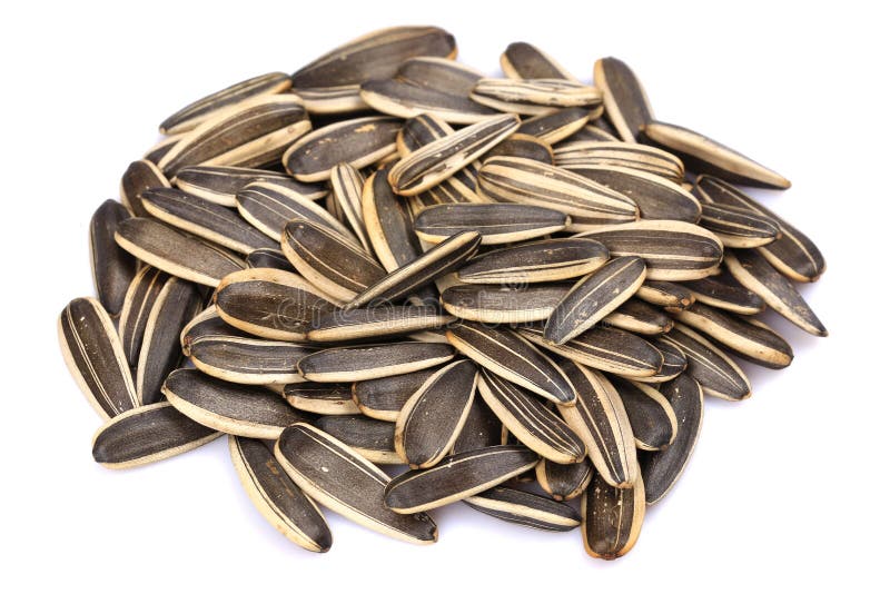 Sunflower seeds stock photo. Image of group, china, dried 170819954