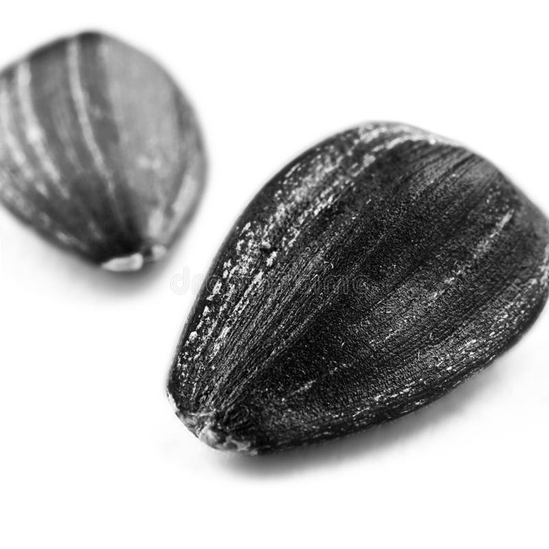 Sunflower seeds macro stock image. Image of seed, fiber 20951051