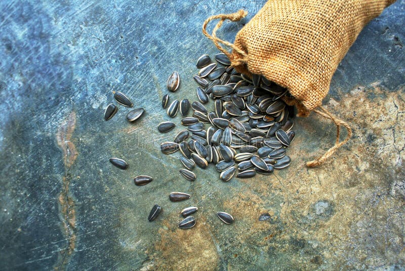 Sunflower Seeds, Nutrition There are Many Whether it is Vitamins Stock