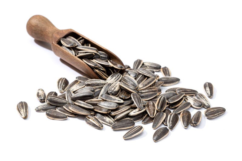 Sunflower Seeds and Scoop Isolated on White Background Stock Image